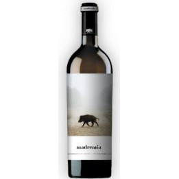 Compra el exclusivo Magnum Madremia Barrica de la mejor calidad