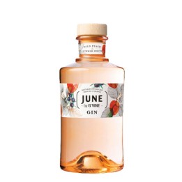 Gin June Watermelon By G-Vine
