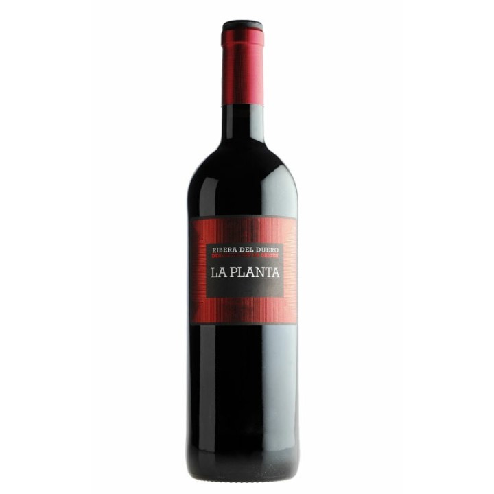 Compra el exclusivo Magnum La Planta 1.5L de la mejor calidad