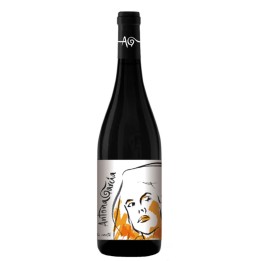 Buy the exclusive Antona García Tempranillo of the best quality