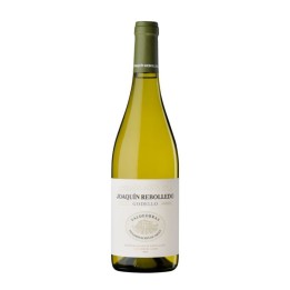 Joaquin Rebolledo Godello