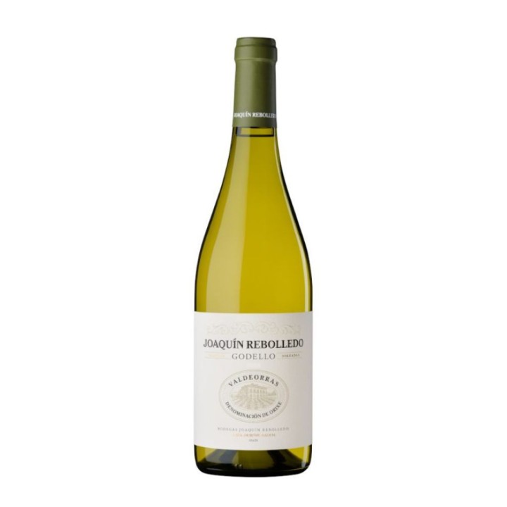 Joaquin Rebolledo Godello