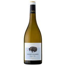 Compra el exclusivo Valdelagunde Sauvignon Blanc de la mejor calidad